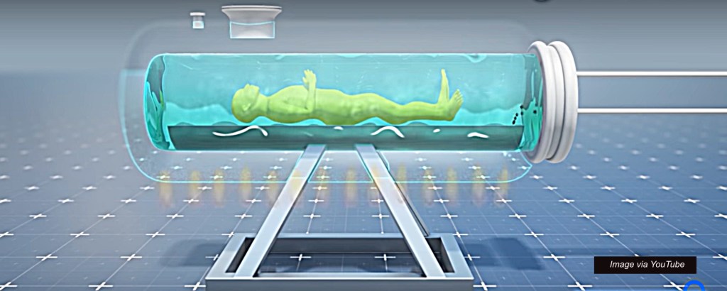 US Catholic bishops rail against ‘aquamation’, an eco-friendly alternative to&nbsp;burial