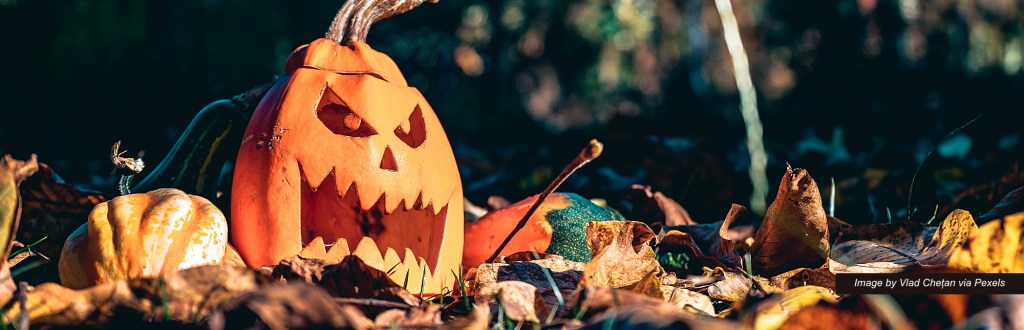 Czech priest vandalises ‘satanic’ pumpkins placed near ‘sacred grounds’ near his village&nbsp;church
