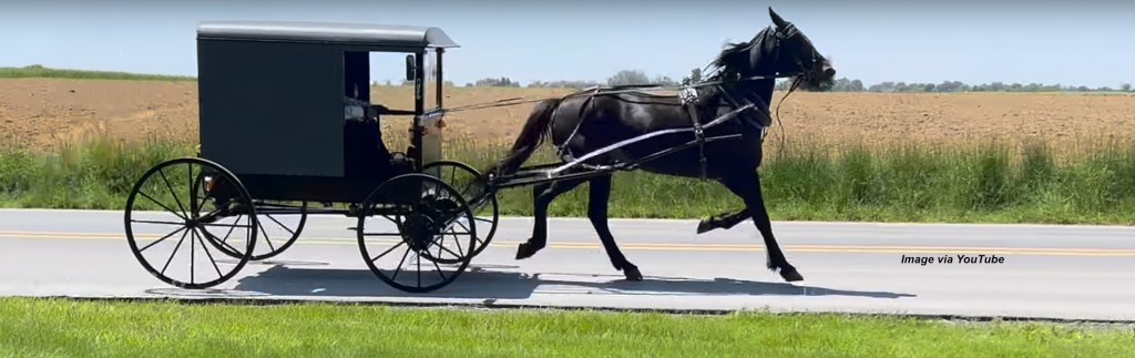Conservative Amish groups eschew safety lights on their buggies, and are refusing to pay fines being&nbsp;imposed