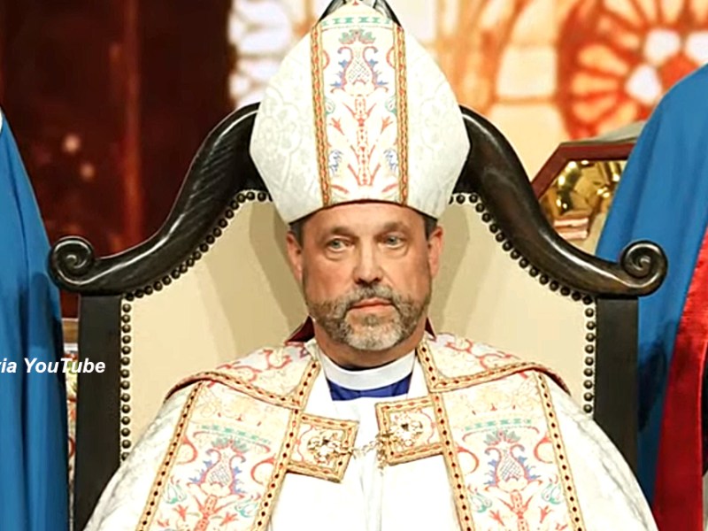 Sexual harassment, plagiarism and bullying are among allegations made against a US Anglican&nbsp;archbishop