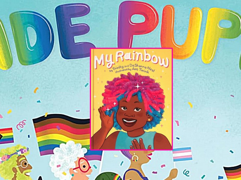 Religious book-burners awarded $1.5-m by US Supreme Court over two LGBTQ school&nbsp;books